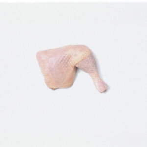 Chicken Leg