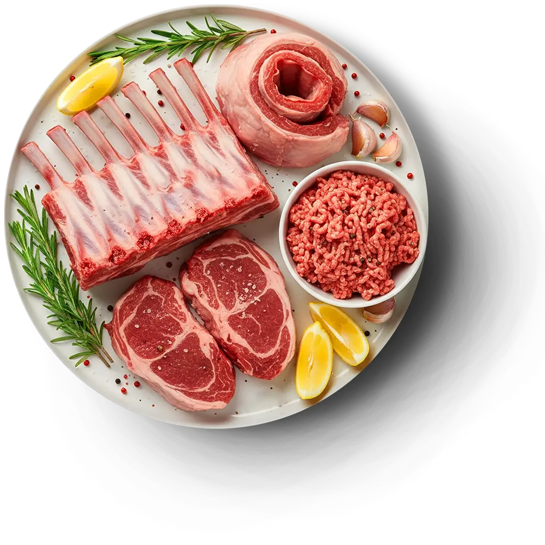 LAMB